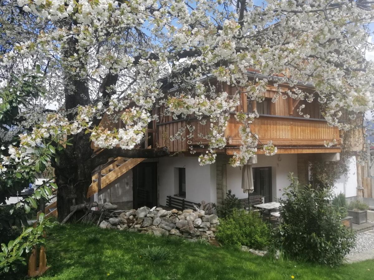 Appartement Seppi インスブルック エクステリア 写真