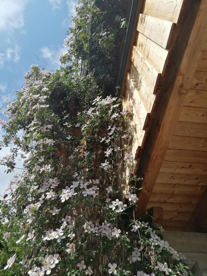 Appartement Seppi インスブルック エクステリア 写真