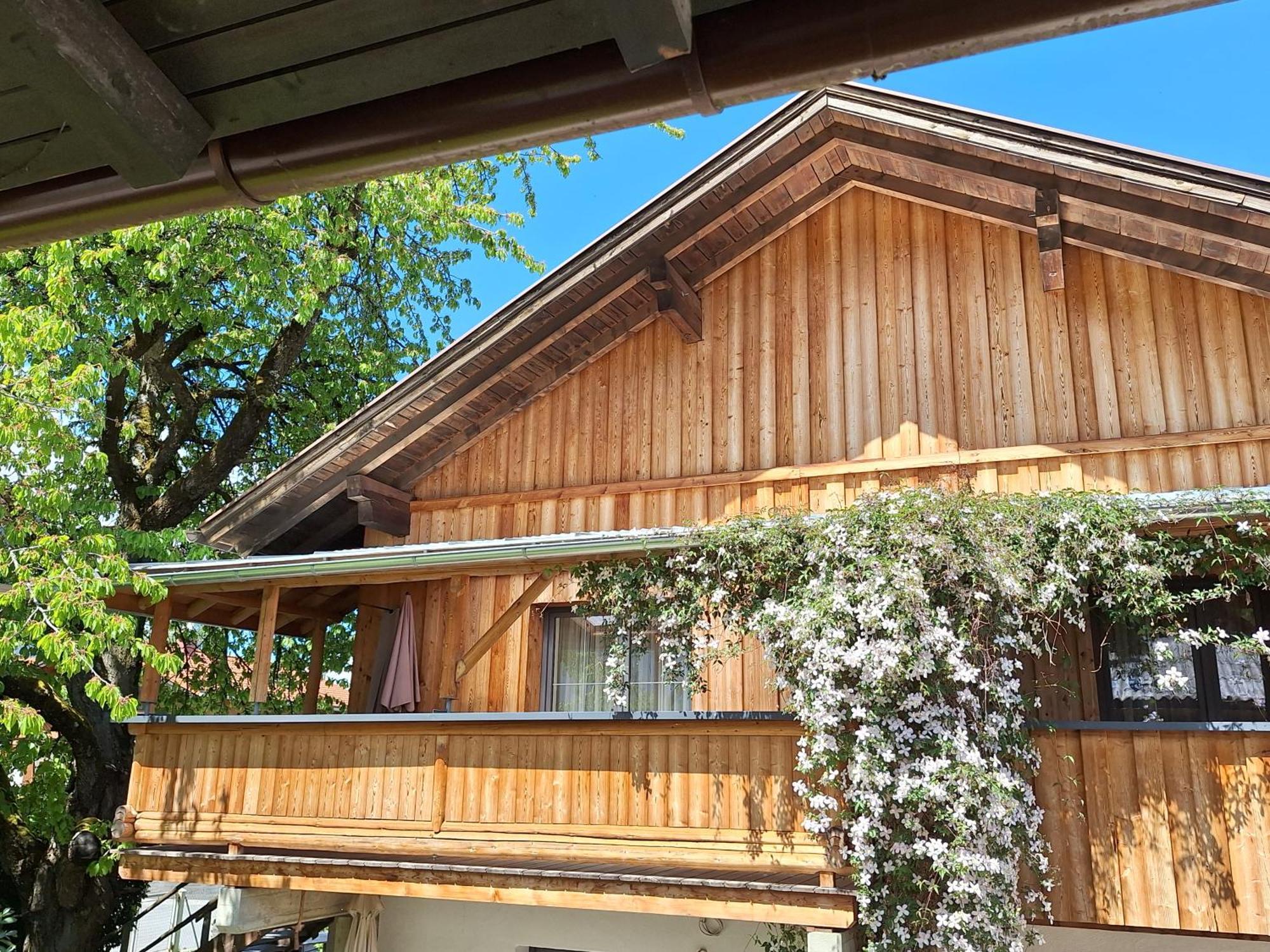 Appartement Seppi インスブルック エクステリア 写真