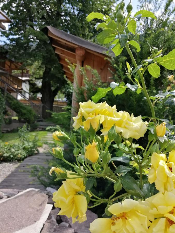 Appartement Seppi インスブルック エクステリア 写真